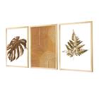 Kit 3 Quadros Decorativos Boho Formas Folhagens