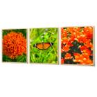 Kit 3 Quadros Decorativos Borboleta Flores Laranja Sala