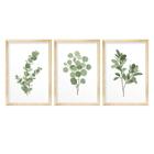 Kit 3 Quadros Decorativos Folhagem Verde Natureza Jardim Sala