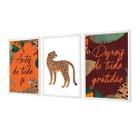 Kit 3 Quadros Decorativos Frases Gratidão Onça 43x63cm