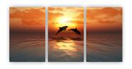 Kit 3 quadros decorativos golfinhos por do sol mar mdf 20X29