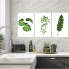 Kit 3 Quadros Decorativos Minimalistas Plantas 24x18cm - com vidro