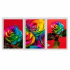 Kit 3 Quadros Decorativos Moldura de Madeira 60x40 cd Flores