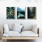 Kit 3 Quadros Decorativos Natureza- Florestas 33X24Cm Vidro