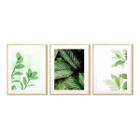 Kit 3 Quadros Decorativos Verde Natureza 31x41cm