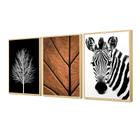Kit 3 Quadros Decorativos Zebra Árvore Seca Folhagem