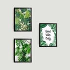 Kit 3 Quadros Folhagens Good Vibes Only 33x24cm - com vidro