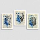 kit 3 Quadros Psicologia Cérebro Coração 45x34cm