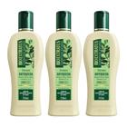 kit 3 Shampoo Antiqueda Jaborandi 250 ml Bio Extratus