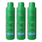 Kit 3 Shampoo Raizes Oleosas e Pontas Secas Max Care Control Voga 750ml