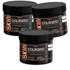 Kit 3 Skin colágeno Verisol com Silício+Zinco Bisglicinato em Pó Laranja - Natunéctar