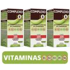 Kit 3 Suplemento De Vitaminas Complexo B Concentrado, 100 Comprimidos - Arte Nativa