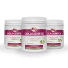 Kit 3 Un Colagentek Colágeno 300g Maçã Verde Vitafor