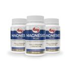 Kit 3 Un Magnesio Plus 350mg 90 caps Vitafor