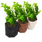 Kit 3 Un Vaso Para Plantas Mini Suculentas - Com Plantas