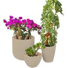 Kit 3 Vaso Decoração Planta Polietileno Variados Jardim CD50 - RRister Imports