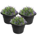 Kit 3 Vaso Redondo Pequeno Para Flores Plantas Jardim Plástico Preto - AMZ