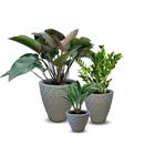 Kit 3 Vasos Diamante Plantas Decorativo Polietileno N1 N2 N3