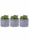 Kit 3 Vasos em Cimento Decorativo Azul com Suculenta Planta