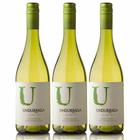 Kit 3 Vinho Branco Chileno Undurraga U Chardonnay 2019 - Aurora