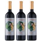 Kit 3 Vinho Sem Álcool Despido Tinto Suave - 750Ml Nacional