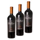 Kit 3 Vinho Tinto Montes Toscanini Gran Tannat Premium 750ml