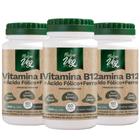 Kit 3 Vitamina B12 + Ácido Fólico + Ferro (Produto Vegano) 60 Cápsulas 500mg