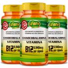 KIT 3 VITAMINA B12 CIANOCOBALAMINA 60 Cáps 450mg UNILIFE