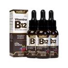 Kit 3 Vitamina B12 Metilcobalamina Em Gotas 30ml Melfort