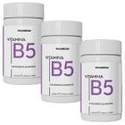 Kit 3 Vitamina B5 Ácido Pantotênico Natunéctar 180 Capsulas 500mg Original - Natunectar