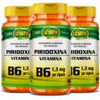 KIT 3 VITAMINA B6 PIRIDOXINA - 60 Cápsulas 500mg UNILIFE