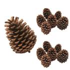 Kit 30un Pinha Natal Enfeite Natural Decorativa Artesanato Natalino Ambientes Fim De Ano