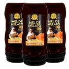 Kit 3Un Bisnaga Mel Intenso Special Reserve Apis Nativa 550G