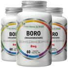 Kit 3X Boro Decahidratado 8Mg 60 Cápsulas - Flora Nativa