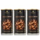 Kit 3x cacao whey isolado e hidrolisado 840g essential nutrition