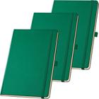 Kit 3x Caderneta de Anotações 12x18cm 80 Fls Sem Pauta Verde - TopGet