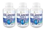 Kit 3X Colágeno Nao Desnaturado Tipo 2 360 Capsulas Tree - Tree Of Life