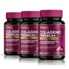 Kit 3x Colágeno Premium com Ácido Hialurônico - 2,5g de Peptídeos Bioativos por Dose, Sem Glúten, Sabor Tutti-Frutti