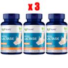 Kit 3x Enzima Lactase Muwiz 60 Cápsulas 400mg - P/ Intolerância à Lactose