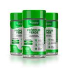 Kit 3x Frascos Extrato de Própolis Verde, Vitaminas C-D-E, 2 em 1 - Suplemento Alimentar - Denavita