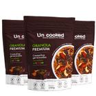 Kit 3X Granola Uncooked Castanhas Germinadas Brawnie 250G