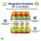 Kit 3x Magnésio Quelato 700mg Unilife Vegano 180 Cápsulas