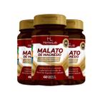 Kit 3x MALATO DE MAGNÉSIO 60 CAPS - HERBOLAB B