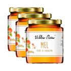 Kit 3X: Mel De Laranjeira Villa Piva 300G