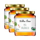 Kit 3X: Mel Puro Orgânico Villa Piva 300g