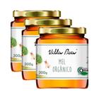 Kit 3X: Mel Puro Orgânico Villa Piva 300G