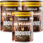 Kit 3x Pasta de Amendoim Com Whey Protein - Zero Lactose - (250g) - Dr Peanut