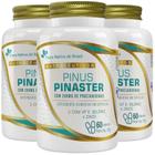 Kit 3X Pinus Pinaster + Vitamina E, Selênio E Zinco 60 - Flora nativa