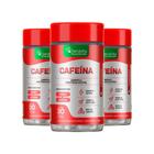 Kit 3x Pote Cafeína, Guaraná, Café Verde 3 em 1, Termogênico - Bodybuilder - Vegano - Denavita