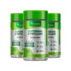 Kit 3x Pote Quitosana + Triptofano + Psyllium + Ácido Pantotênico - Denavita